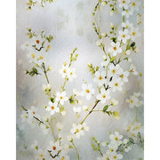 White blossom frosted glass film on a window ā Lolli & Omi